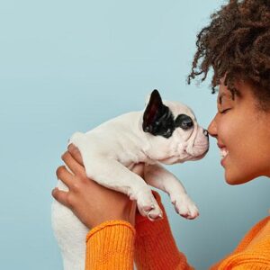 The Joy of Everyday Grooming – Why Your Pet Deserves Gentle Care