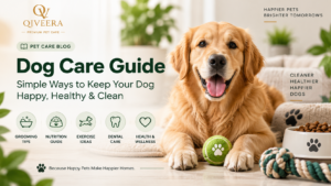 Dog Care Guide